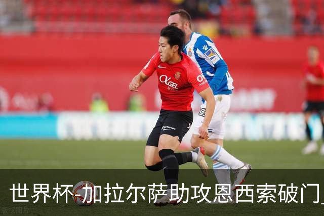 世界杯-加拉尔萨助攻恩西索破门 德国半场暂0-1巴拉圭